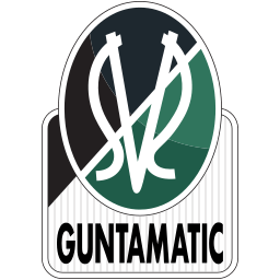 SV Ried Logo